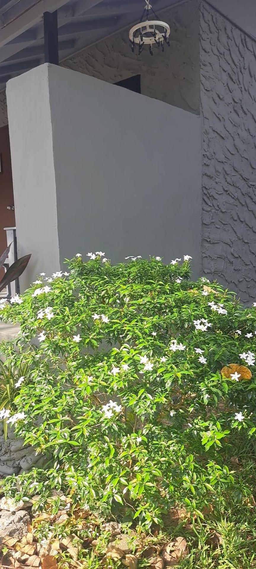 Siam Flora Resort Koh Lanta Exterior photo